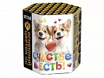 Счастье есть! (1,1" х 19)