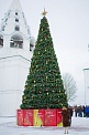 Сосна "Уральская" леска